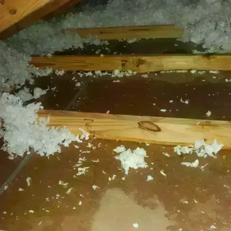 Attic Water Damage in City of Harrisonburg, VA